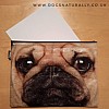 Pug Face A4 Pouch (Catseye)